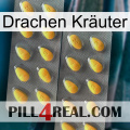 Drachen Kräuter cialis2